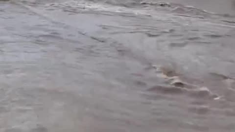 Heavy Flooding Due To Torrential Rainfall In Kaseda, Minamisatsuma City, Japan (08/22/2025)