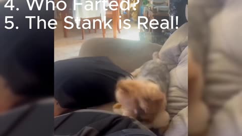 Top-5 Funny Moments