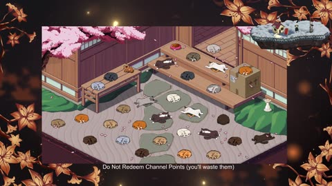 8+hours of Chill Cat Stream To Help You Sleep