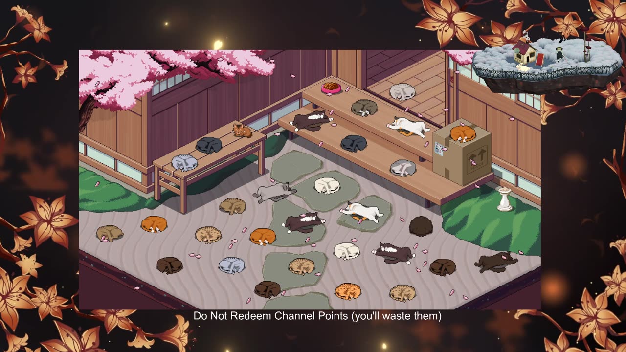 8+hours of Chill Cat Stream To Help You Sleep