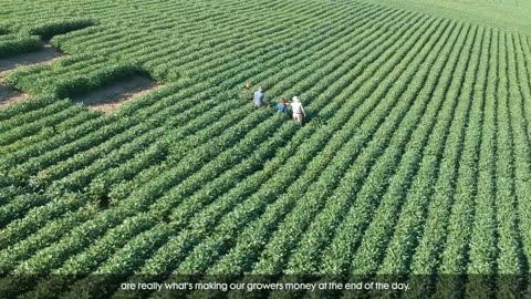 Ask A Nufarmer - What is Trunemco Seed Treatment?