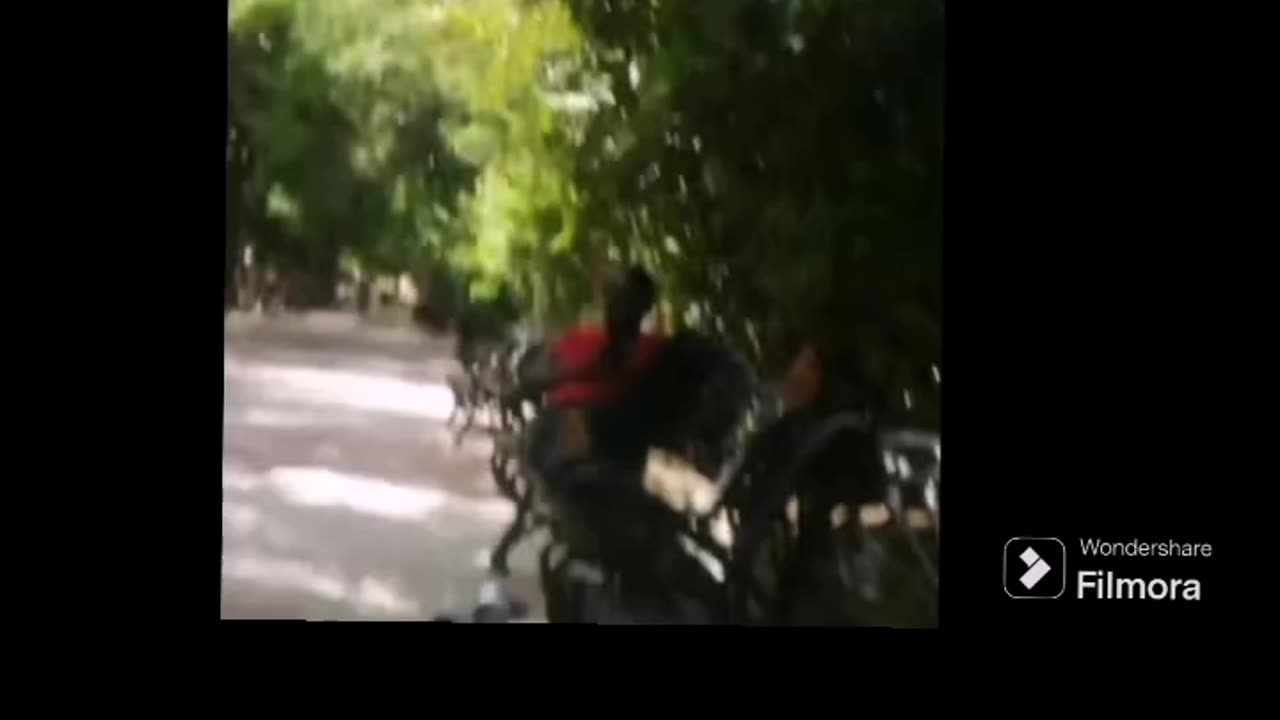 Requesón africano