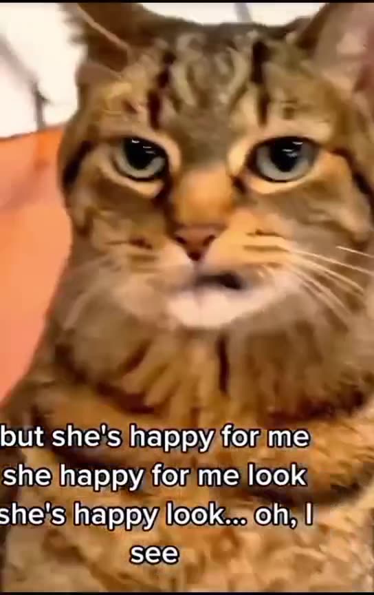 "Cats & Babies – Cutest Chaos Ever! 🍼🐱🤣"