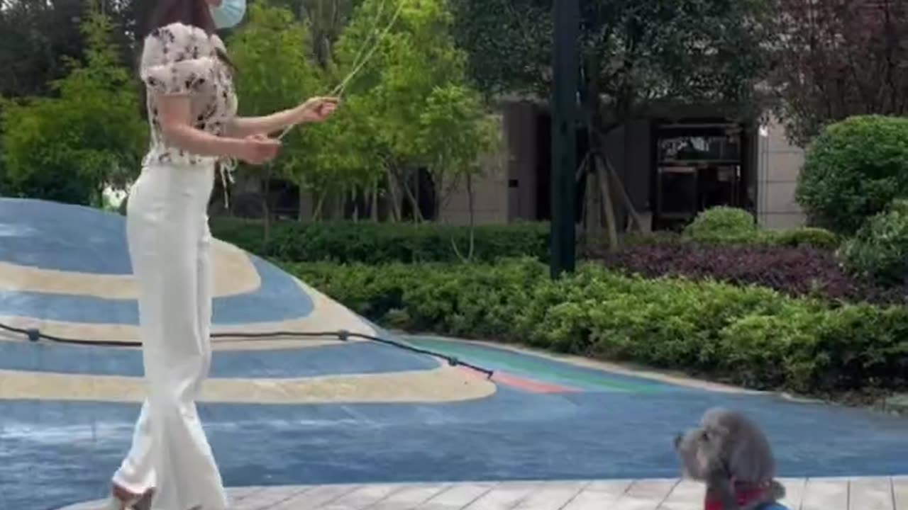 Haha, this dog is so fun, even better than me jumping rope
