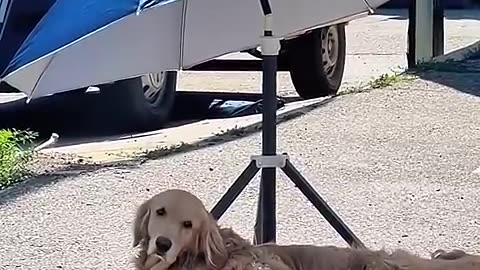 You know it's hot out when you see this 😂