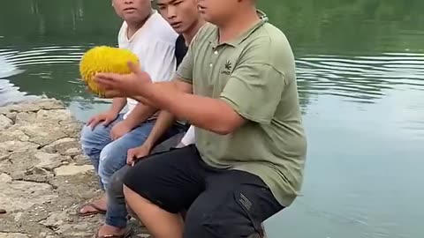 Crazy funny