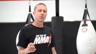 Tao of MMA: MMA Striking by Trevor Wittman and Duane Ludwig 1