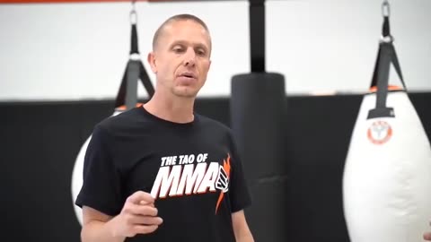 Tao of MMA: MMA Striking by Trevor Wittman and Duane Ludwig 1