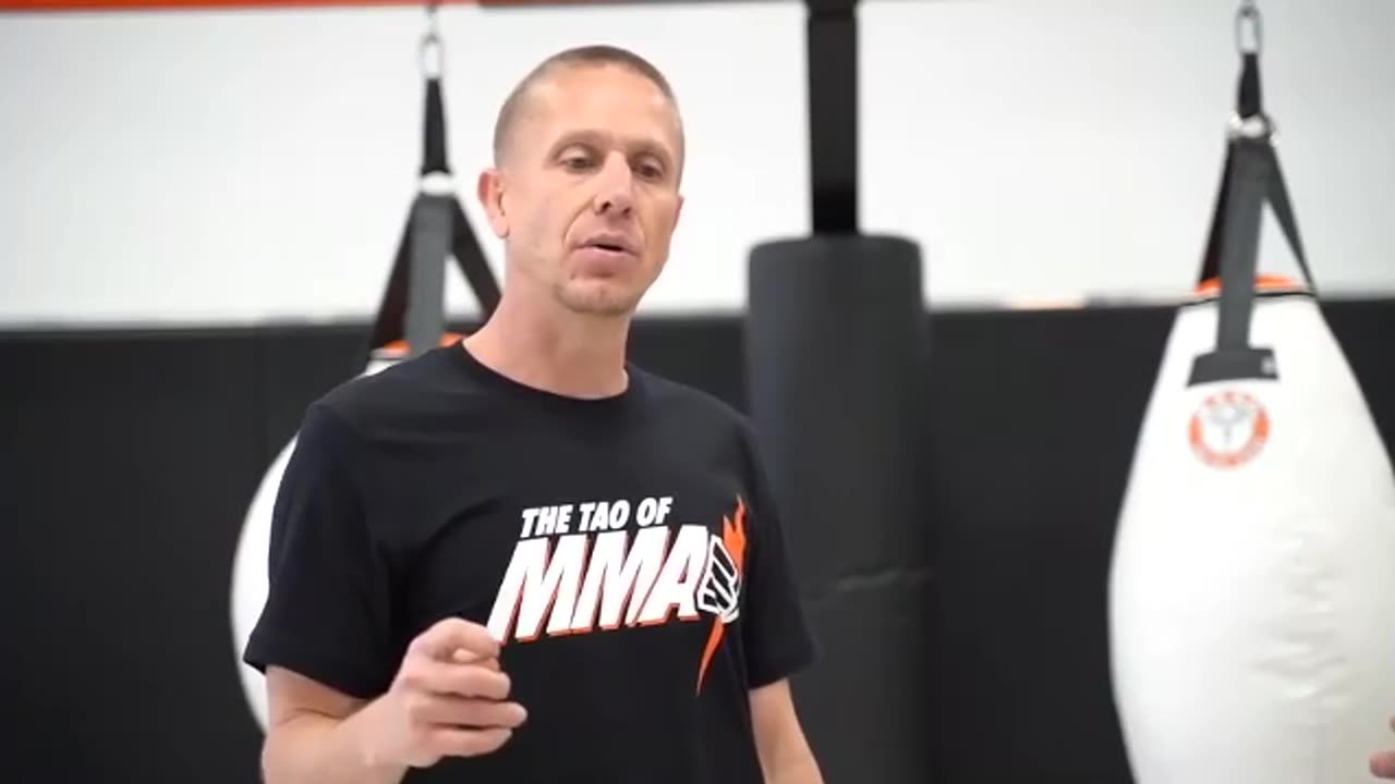 Tao of MMA: MMA Striking by Trevor Wittman and Duane Ludwig 1