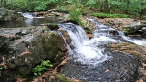 Cascades