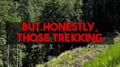 Gorilla Trekking Destinations for Wildlife Enthusiasts