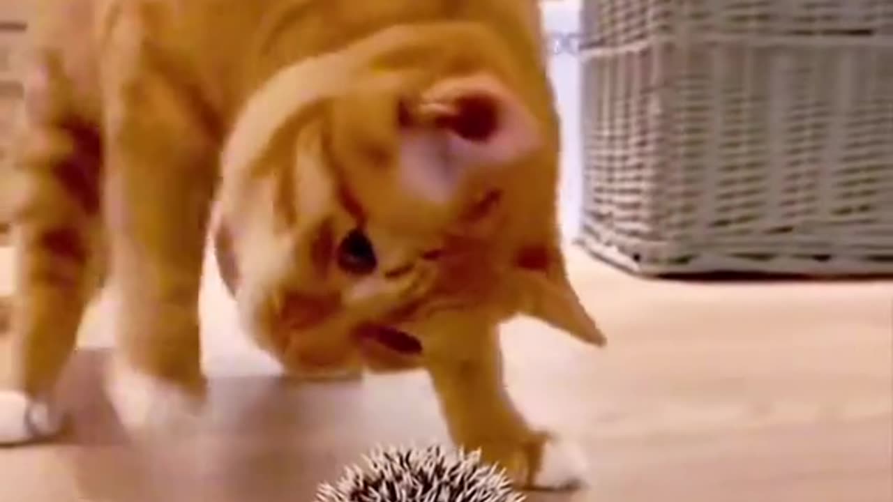 📹 Trending Chinese Viral Videos | Funny, Emotional & Shocking Moments