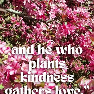 Plant Kindness