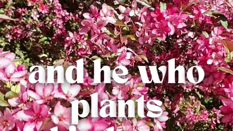 Plant Kindness