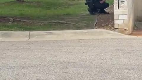 Two Injured in Shooting Outside Meridian Mall, Suspect in Custody
