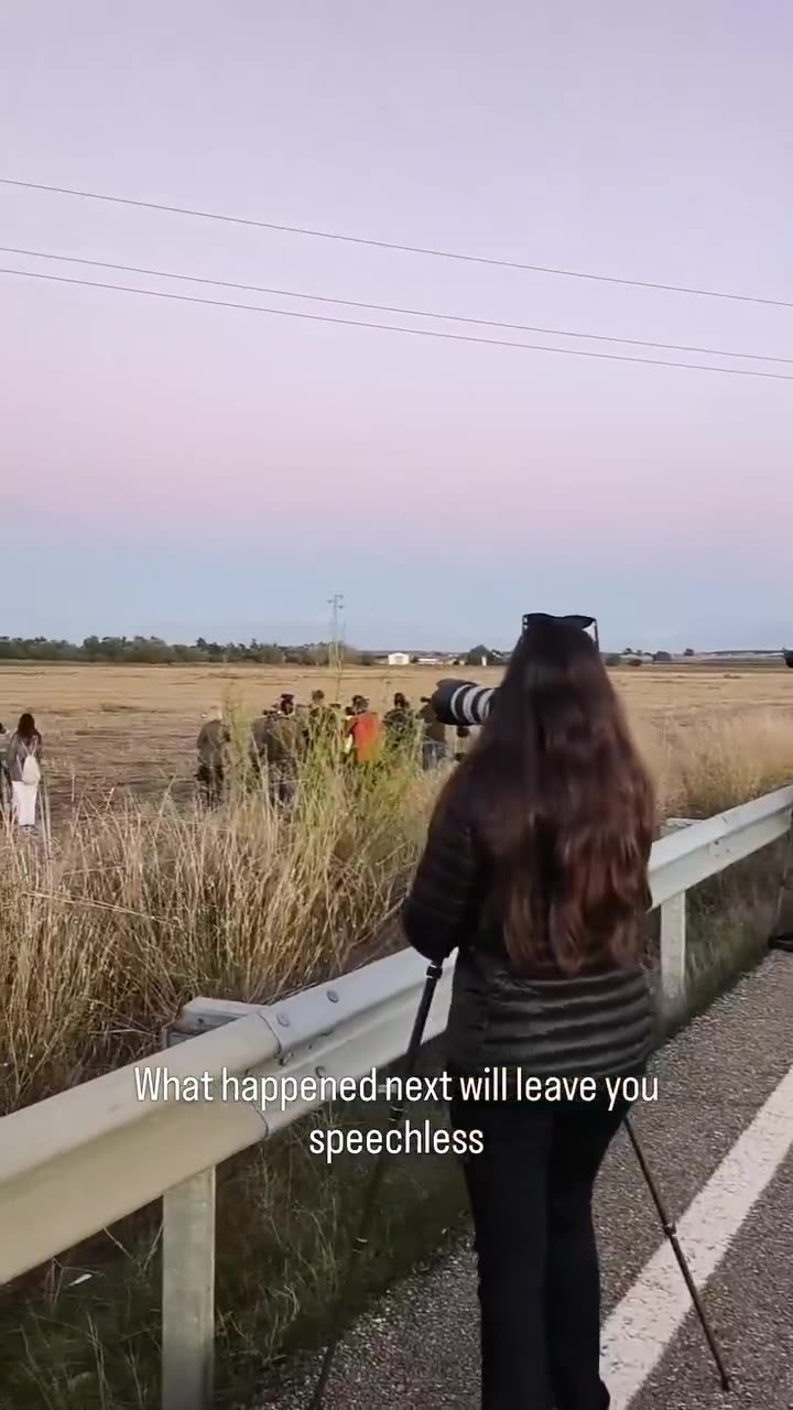 An unforgettable night to capture the moon rising over the majestic castle