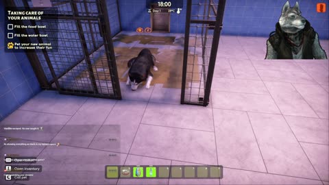 Stream 255: Playing Animal Shelter 2