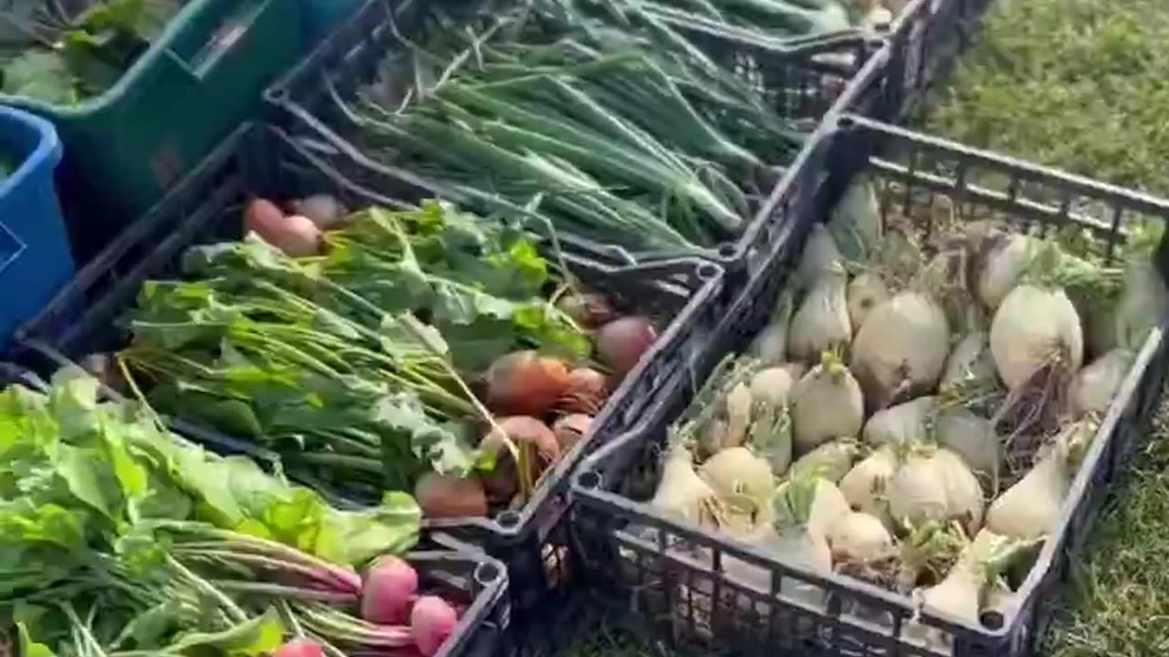 "Certo, ha preso il veleno del vaccino finto."