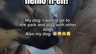 Why is she like this