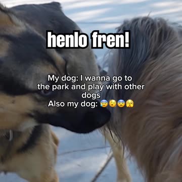 Why is she like this