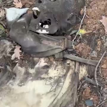 Ukraine war related/combat footage 11/24/25