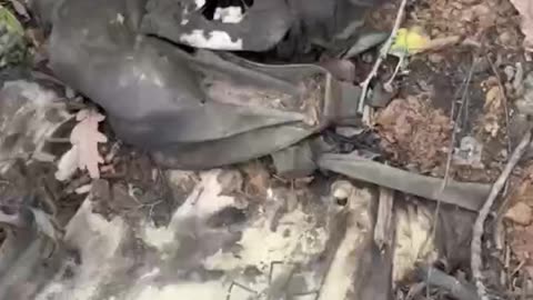 Ukraine war related/combat footage 11/24/25