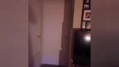 😨👻 Skinwalker Mom on Video! | TheHauntingHour