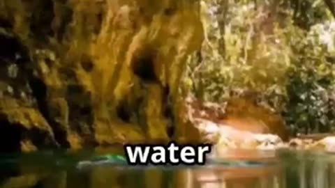 The Crystal Maiden of Maya Cave of Blood