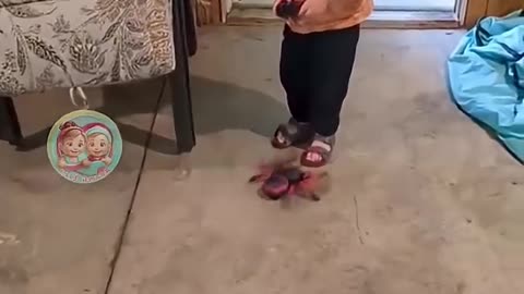 FUNNIEST MOMENTS Of BABY And Toys! 😂