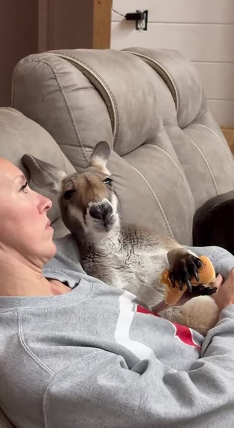 Typical Australian family 😊