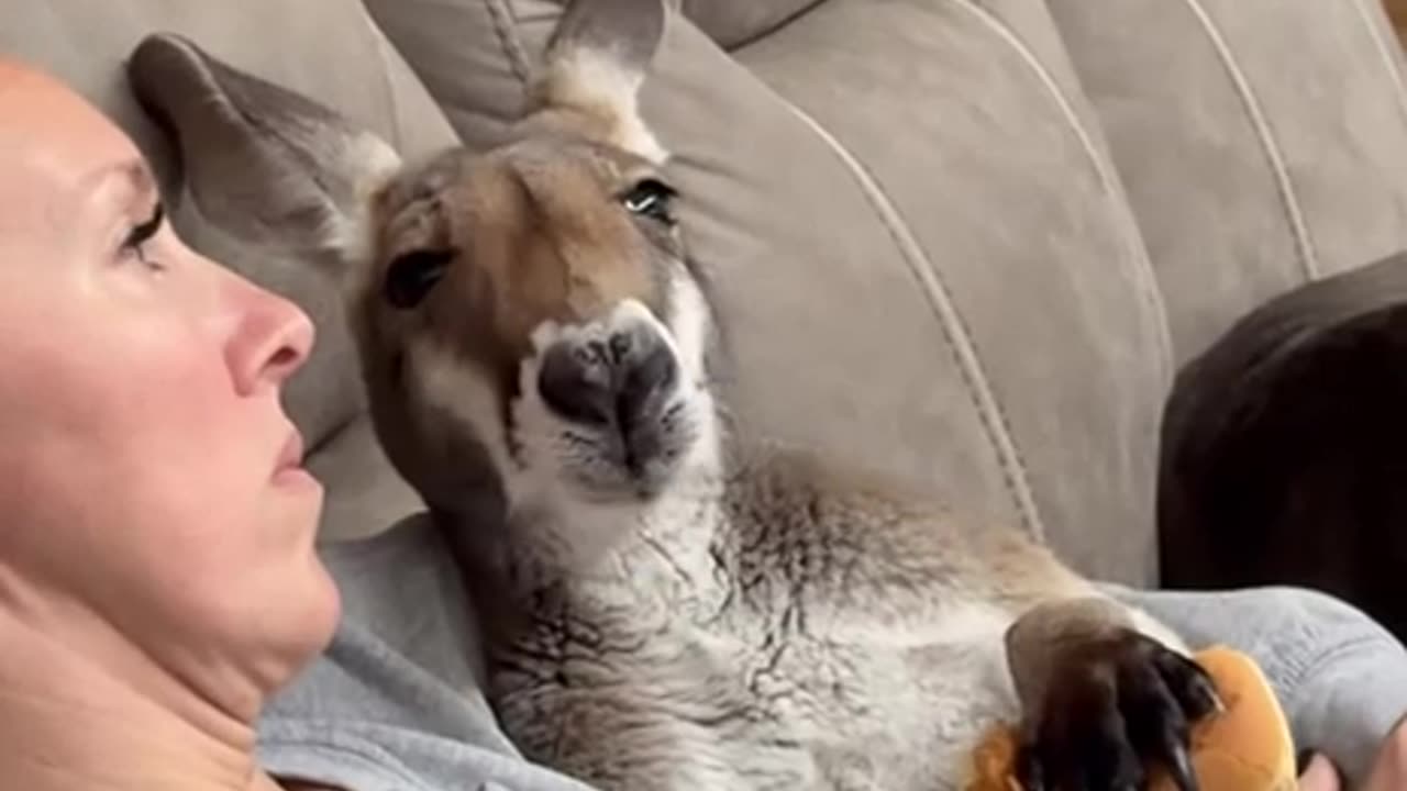 Typical Australian family 😊