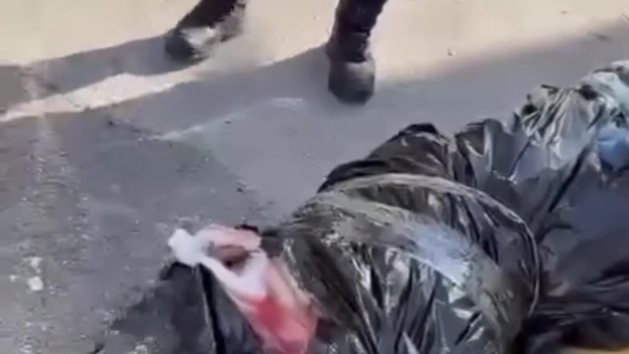 México se hunde en la violencia: Debate sobre la inseguridad y las políticas blandas del gobierno