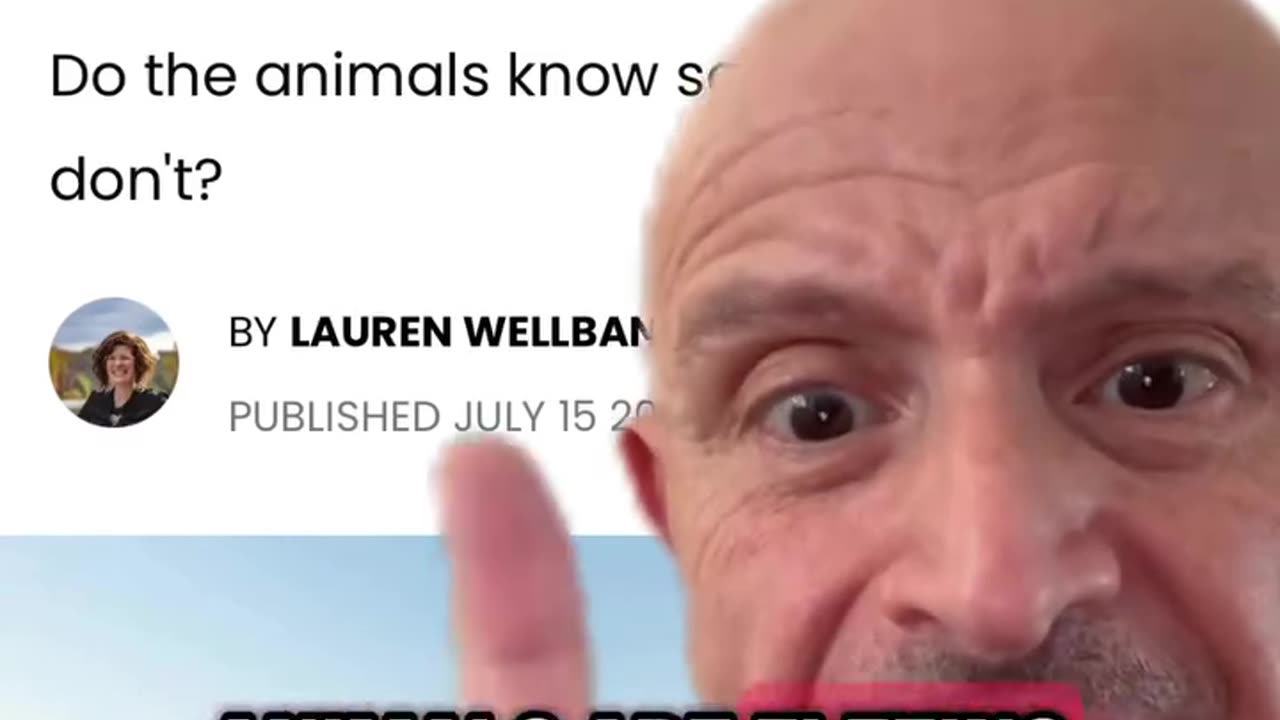 Speculation and Fear Swirl as Animals Are spotted Fleeing Yellowstone i