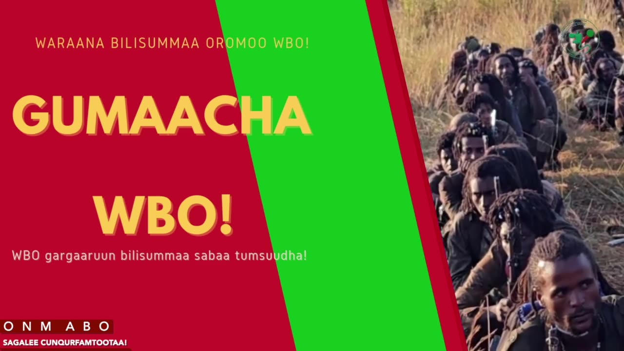 Gabaasa Gumaacha ONM-ABO Hagayya 24-2025 itti dhiyaadhaa!