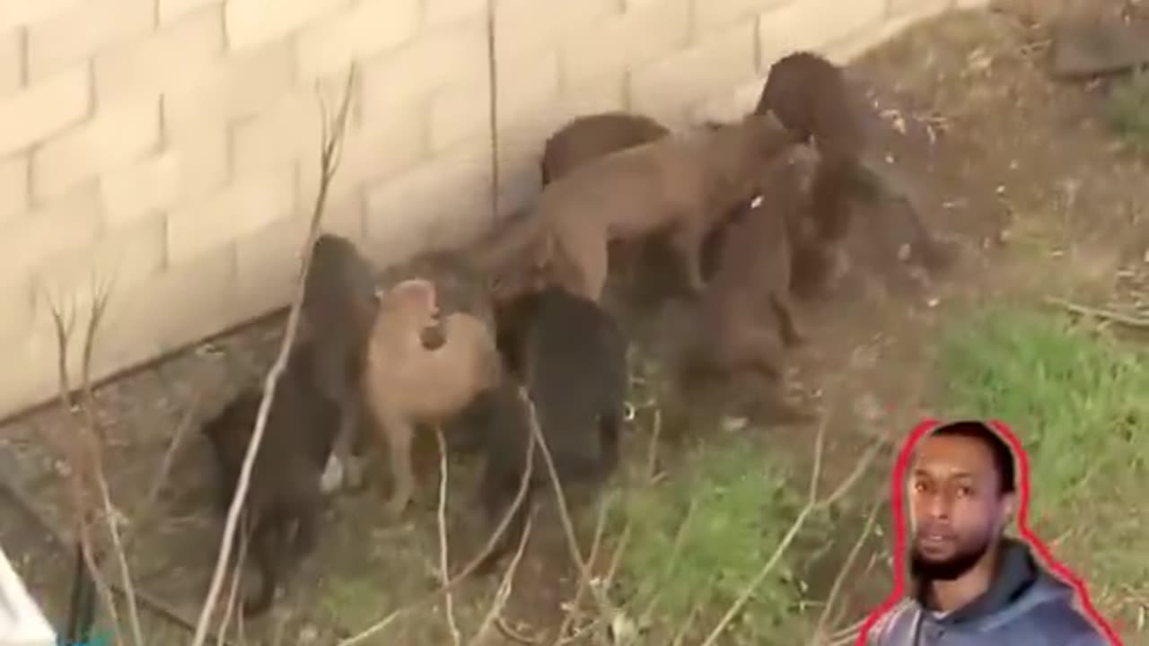 Eaten