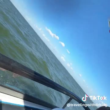 That face says “Did we just commit murder?”(via:@travelingwithdrking)