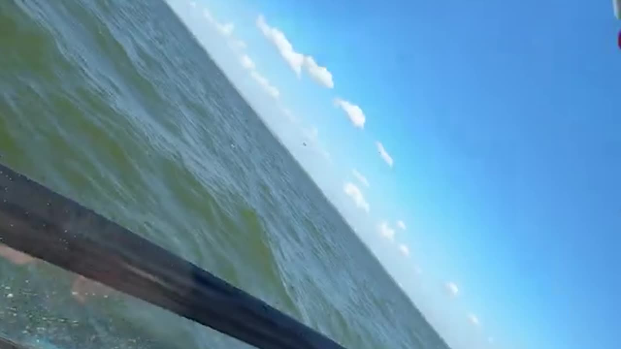 That face says “Did we just commit murder?”(via:@travelingwithdrking)