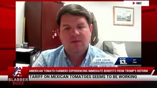 American Tomato Farmers experiencing Immediate Benefits From Trump's Reform