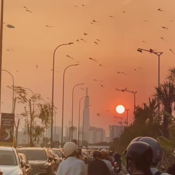 A peaceful afternoon