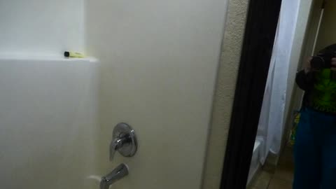 Normal setting upon camera