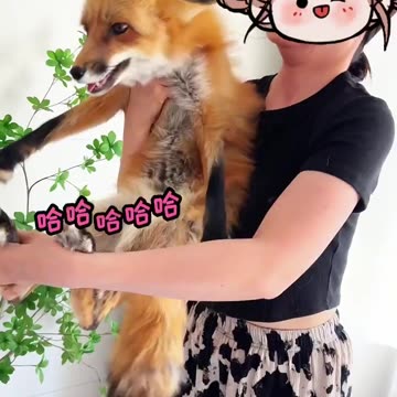 📹 Trending Chinese Viral Videos | Funny, Emotional & Shocking Moments