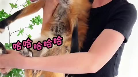 📹 Trending Chinese Viral Videos | Funny, Emotional & Shocking Moments