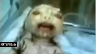 REPTILIAN BABY GENETICALLY ENGINEERED?