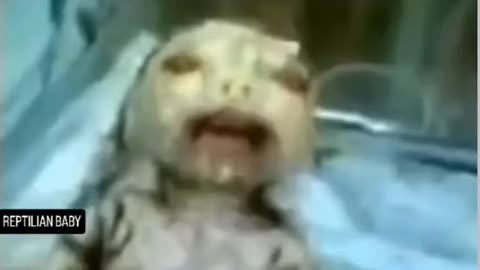 REPTILIAN BABY GENETICALLY ENGINEERED?
