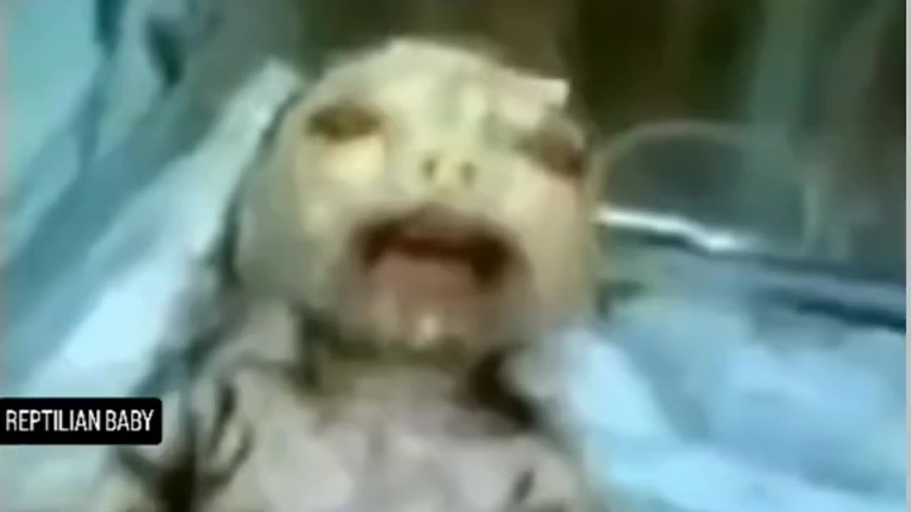 REPTILIAN BABY GENETICALLY ENGINEERED?