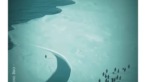 Never Give UP!