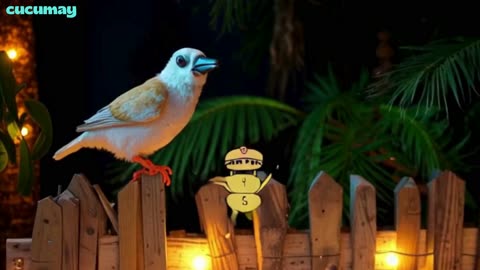 Starlings Become Singers on Village Stage