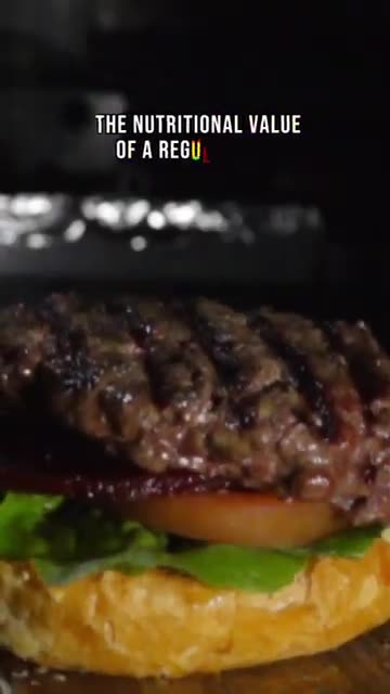 Would you try them? Mosquito Burger