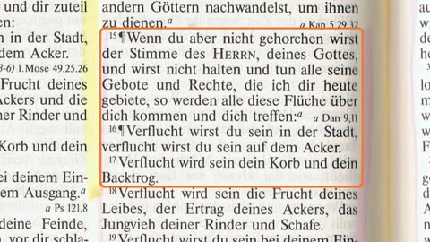 Meine Bibel, - heute: 5. Mose 28 Vers 15