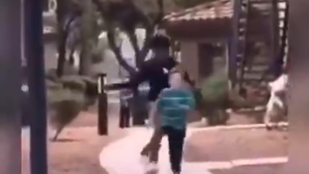 negro attacks very small White child....😡👿